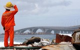 [ẢNH] Nhìn lại năm 2018 của các quốc gia trên thế giới qua những bức ảnh ấn tượng